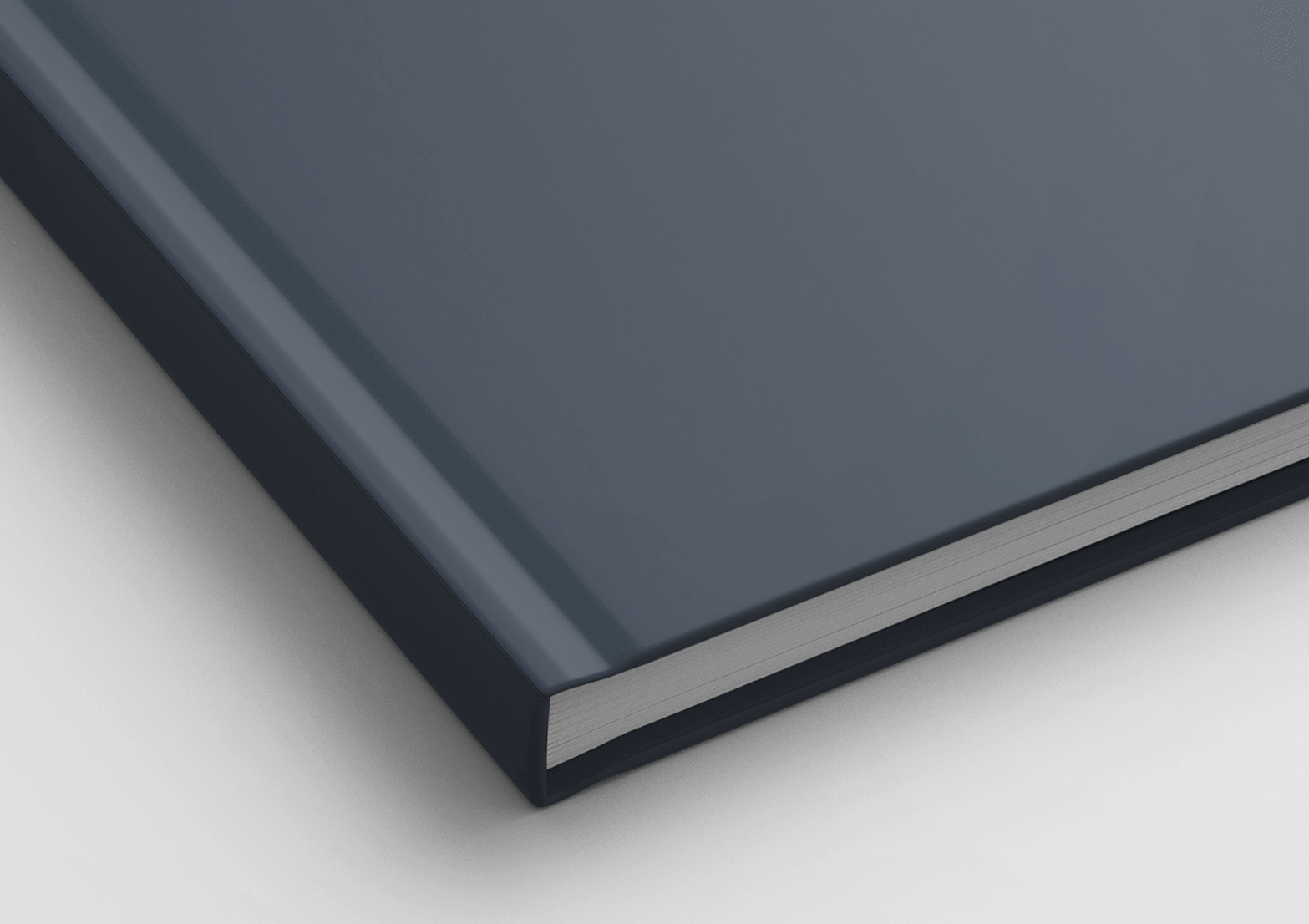 Hardcover (Casebound)