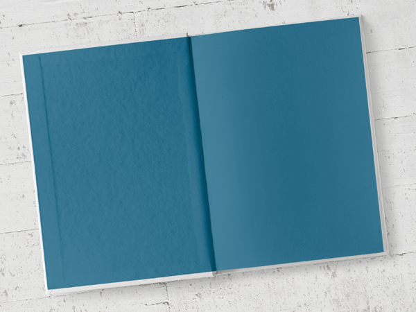 Example of blue (coloured) end papers