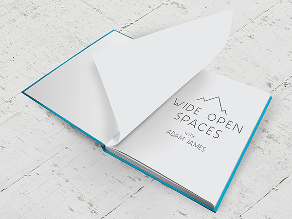 Example of basic (white) end papers